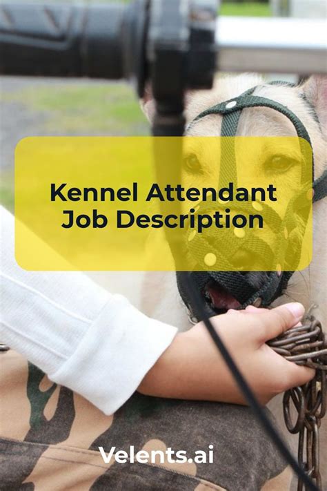 cnc kennel assistant|Kennel Assistant Jobs, Employment .
